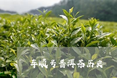 车顺号普洱茶历史/2023040100036