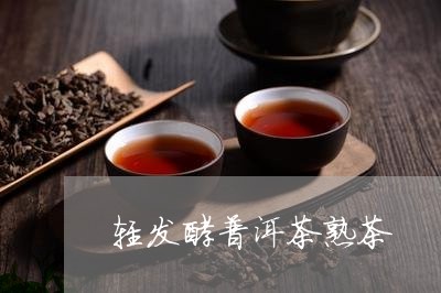 轻发酵普洱茶熟茶/2023041159525