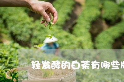 轻发酵的白茶有哪些牌子/2023032934937