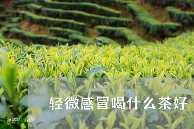 轻微感冒喝什么茶好/2023041620595