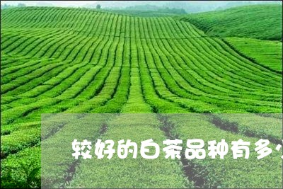 较好的白茶品种有多少个/2023032989672