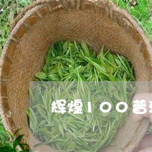 辉煌100普洱茶/2023041150504