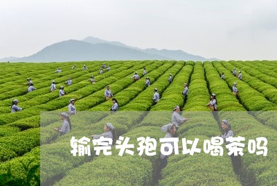 输完头孢可以喝茶吗/2023041612836