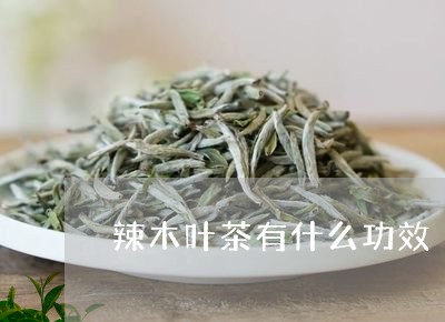 辣木叶茶有什么功效/2023032049461