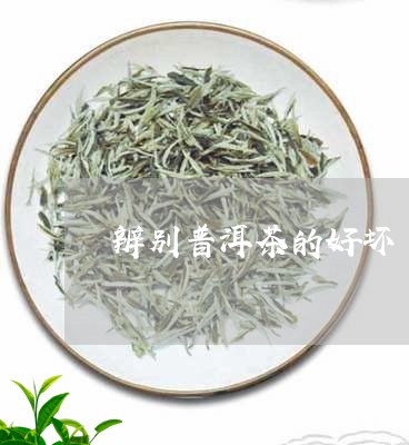 辨别普洱茶的好坏/2023041320581