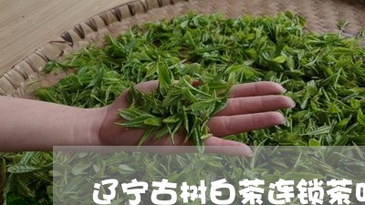 辽宁古树白茶连锁茶叶店/2023032903048