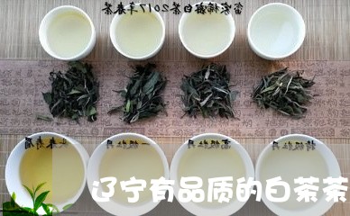 辽宁有品质的白茶茶叶店/2023032957270