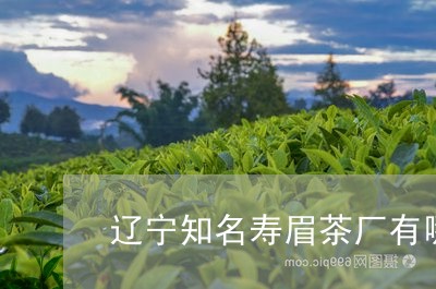 辽宁知名寿眉茶厂有哪些/2023032991582