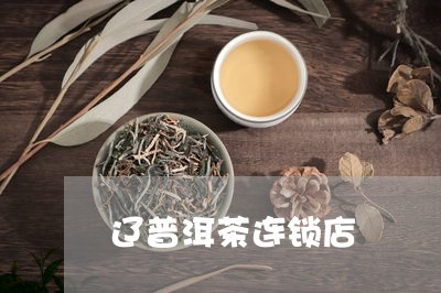 辽普洱茶连锁店/2023033142726