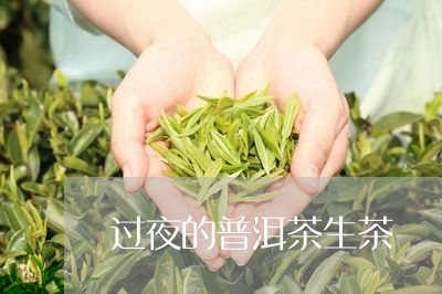 过夜的普洱茶生茶/2023041155471