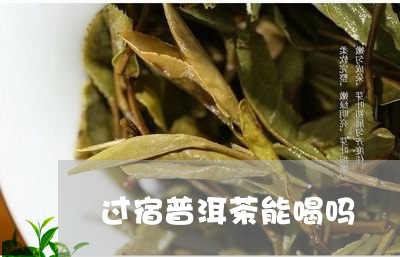 过宿普洱茶能喝吗/2023033147592