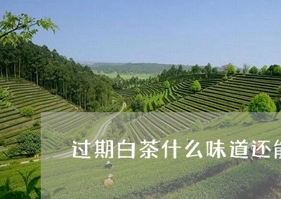 过期白茶什么味道还能喝/2023032978470