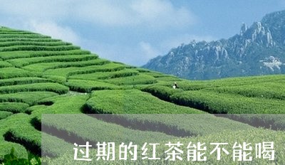 过期的红茶能不能喝/2023031928483