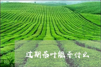 过期茶叶能干什么/2023032568593