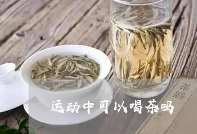 运动中可以喝茶吗/2023032504370