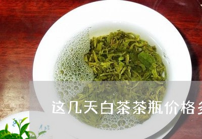 这几天白茶茶瓶价格多少/2023032942713