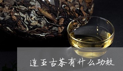 连王古茶有什么功效/2023041516350