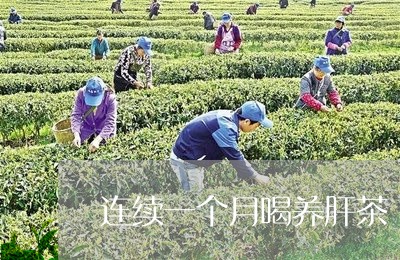 连续一个月喝养肝茶/2023041457483