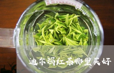 迪尔玛红茶哪里买好/2023031888594