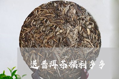 送普洱茶福利多多/2023041371647