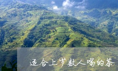 适合上岁数人喝的茶/2023041420414