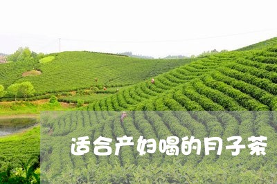 适合产妇喝的月子茶/2023041479482