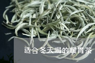 适合冬天喝的暖胃茶/2023031859604