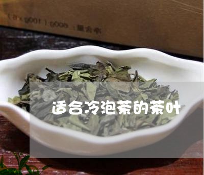 适合冷泡茶的茶叶/2023032603827