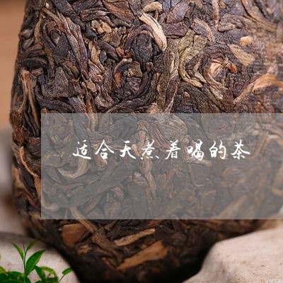 适合天煮着喝的茶/2023041441524