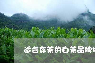 适合存茶的白茶品牌排行/2023032993704