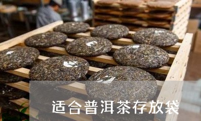 适合普洱茶存放袋/2023040993725