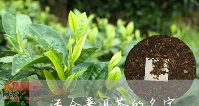 适合普洱茶的名字/2023041397160