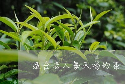 适合老人每天喝的茶/2023041483047