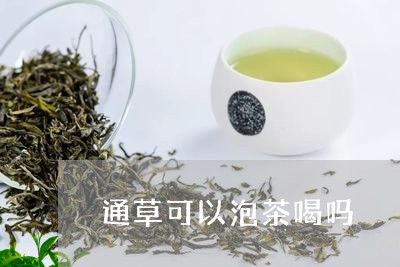 通草可以泡茶喝吗/2023032518403