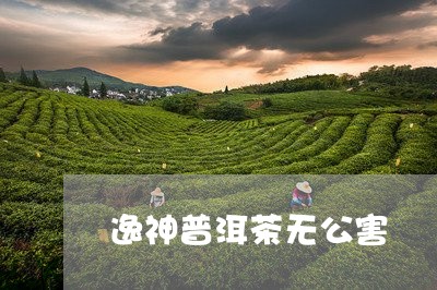 逸神普洱茶无公害/2023040189360