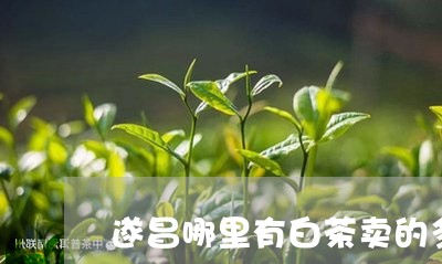 遂昌哪里有白茶卖的多点/2023033069591