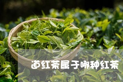 道红茶属于哪种红茶/2023041549593