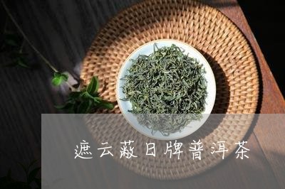 遮云蔽日牌普洱茶/2023032909471