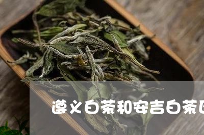 遵义白茶和安吉白茶区别/2023033043047