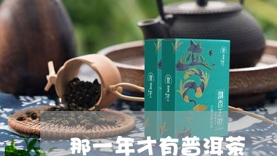 那一年才有普洱茶/2023033094167