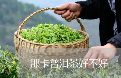 那卡普洱茶好不好/2023040178068