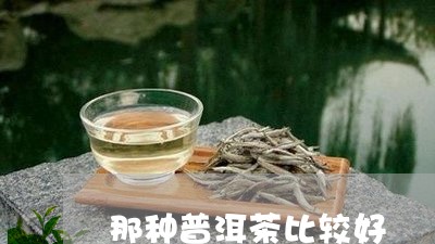 那种普洱茶比较好/2023041470803