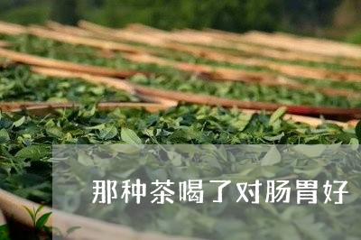 那种茶喝了对肠胃好/2023041444036