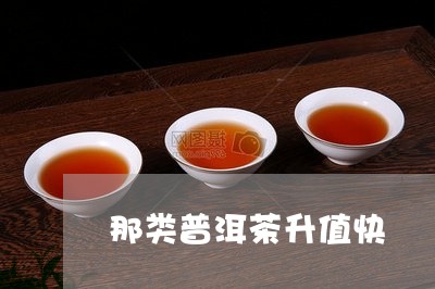 那类普洱茶升值快/2023040104726