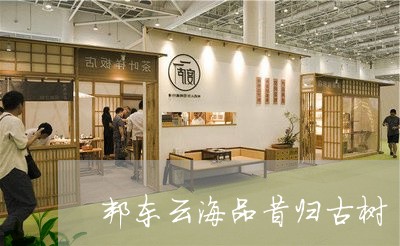 邦东云海品昔归古树/2023041486140