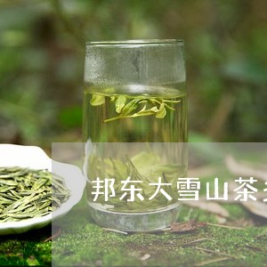 邦东大雪山茶多少钱/2023031813925