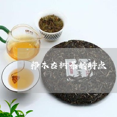 邦木古树茶的特点/2023032684905