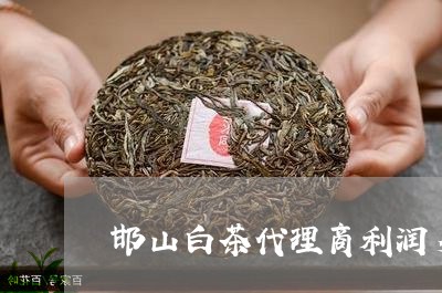 邯山白茶代理商利润多少/2023032901616