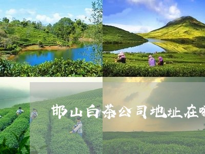 邯山白茶公司地址在哪里/2023032916573