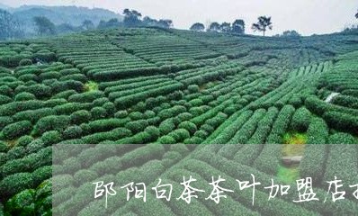 邵阳白茶茶叶加盟店排名/2023032995837